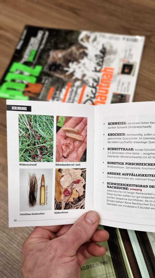 Anschuss Fibel 5.jpg