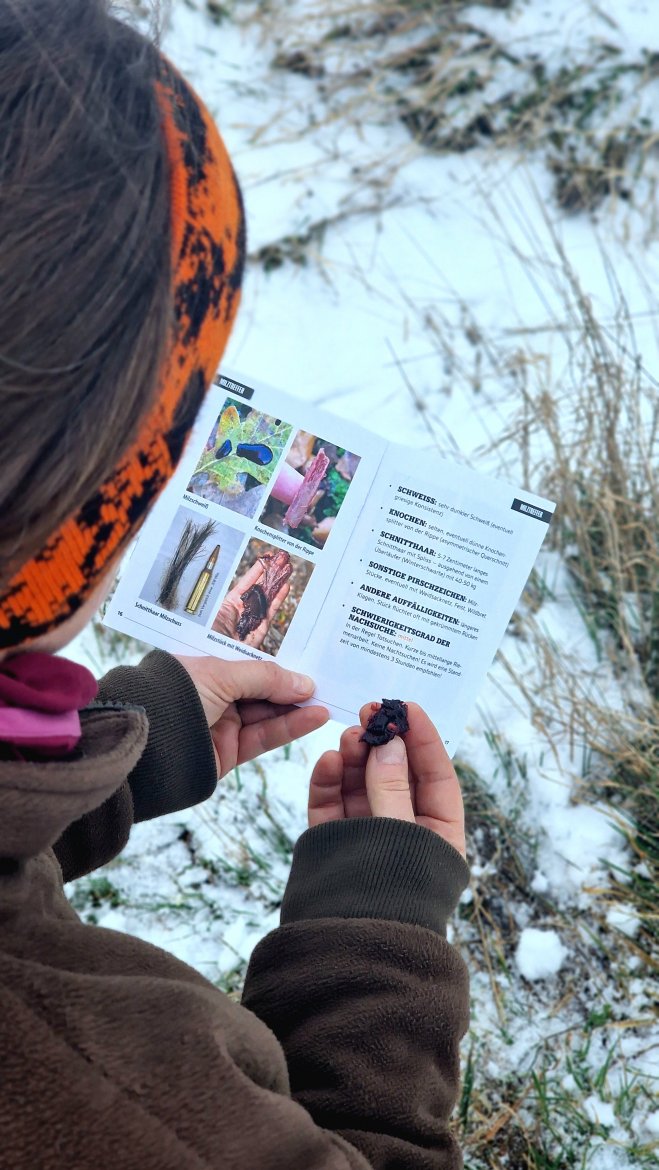 Anschuss Fibel 1.jpg