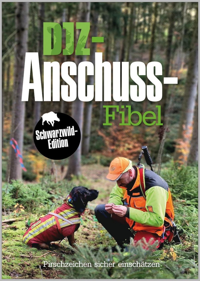 Anschuss Fibel.jpg
