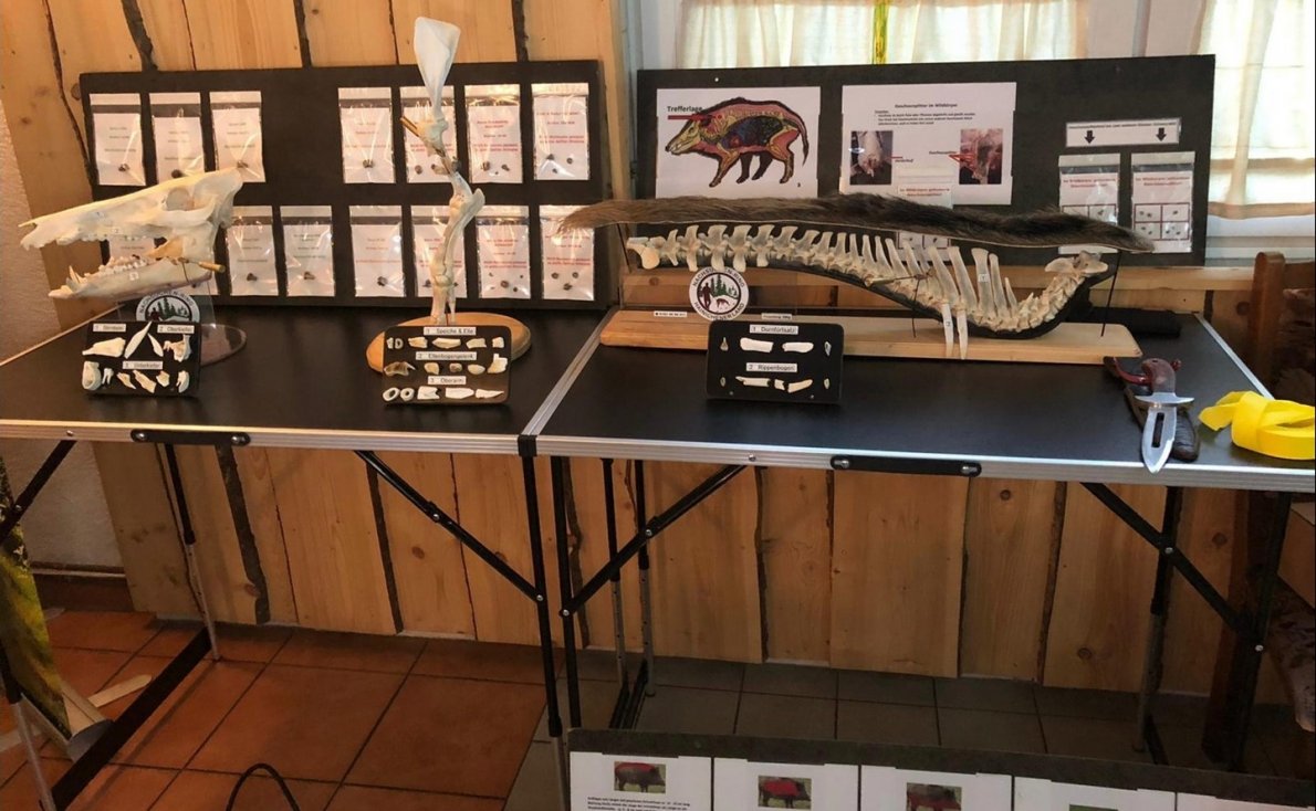 Screenshot_20200614_205155_com.android.gallery3d (3).jpg