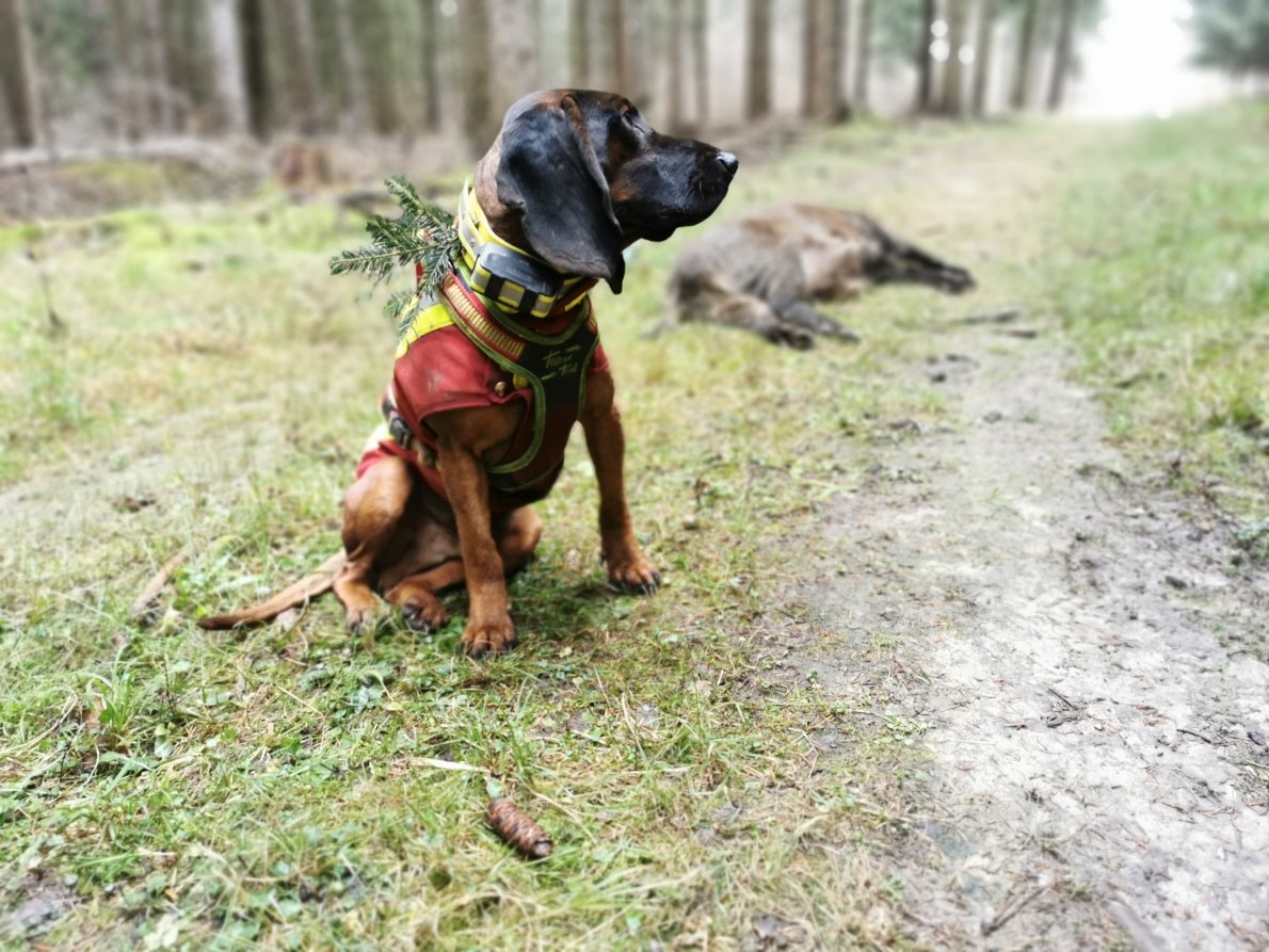 Gebrechschuss Hauptprüfung Faro 7.jpg