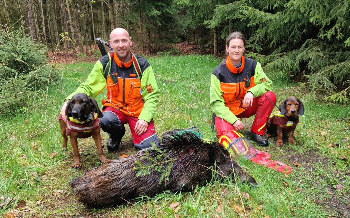 Krellschuss 1.23.jpg