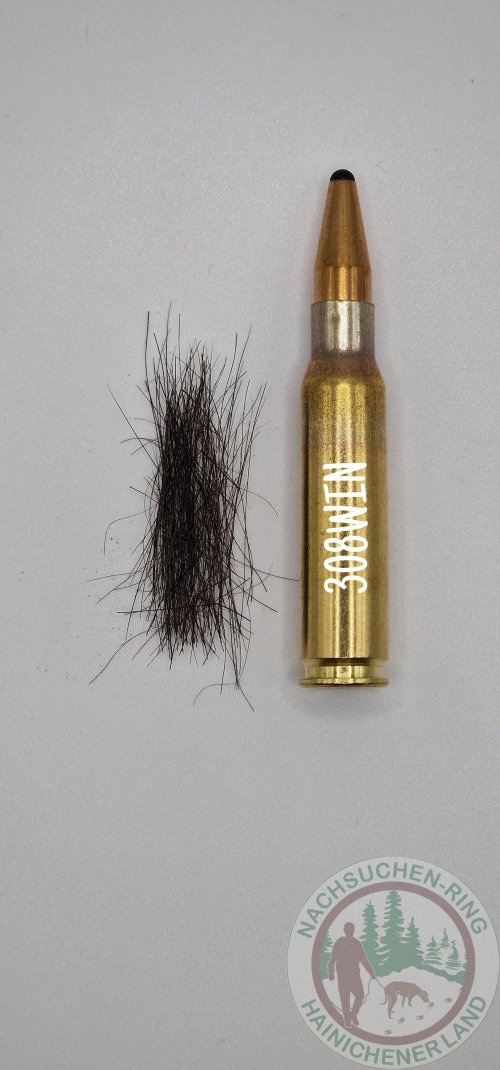 Schnitthaar Vorderlauf.jpg