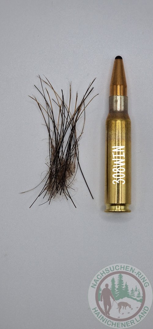 Schnitthaar Unterkiefer.jpg