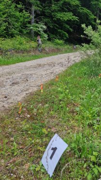 11 Slowakei 2025.jpg